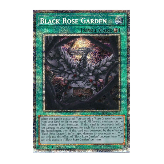 Yu-Gi-Oh! Black Rose Garden (Starlight Rare) - Doom of Dimensions (DOOD)